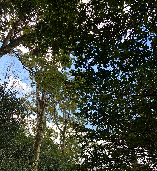 f:id:jimuin310:20190305170749j:plain