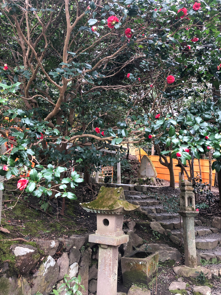 f:id:jimuin310:20190312151448j:plain f:id:jimuin310:20190312151448j:plain