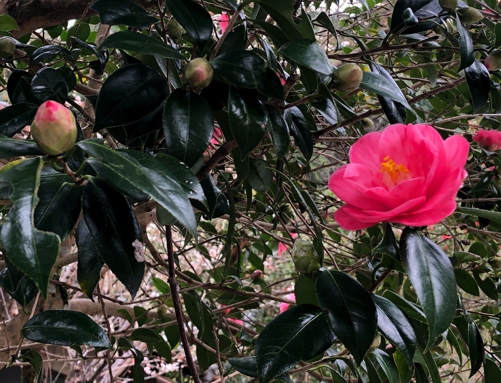 f:id:jimuin310:20190312151632j:plain f:id:jimuin310:20190312151632j:plain