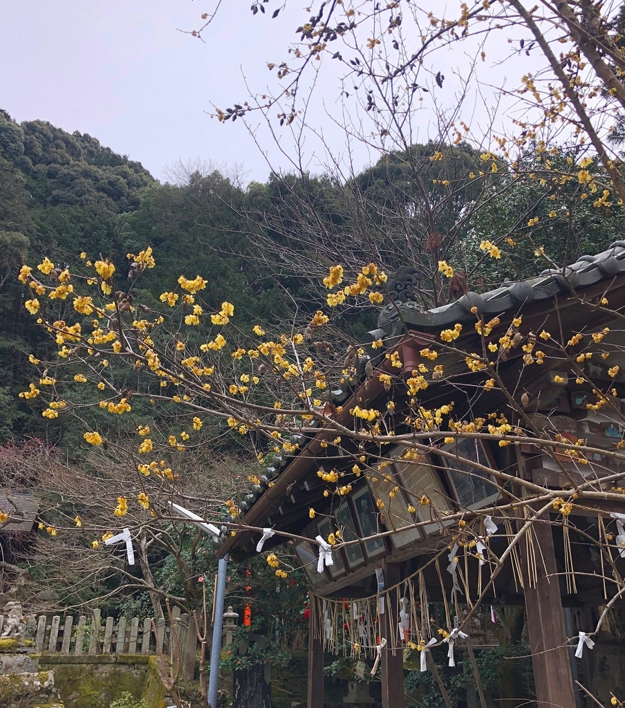 f:id:jimuin310:20190312155235j:plain f:id:jimuin310:20190312155235j:plain
