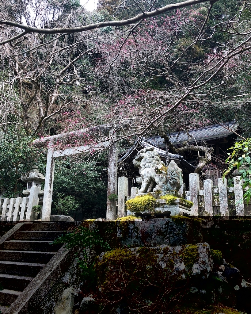 f:id:jimuin310:20190312155250j:plain f:id:jimuin310:20190312155250j:plain