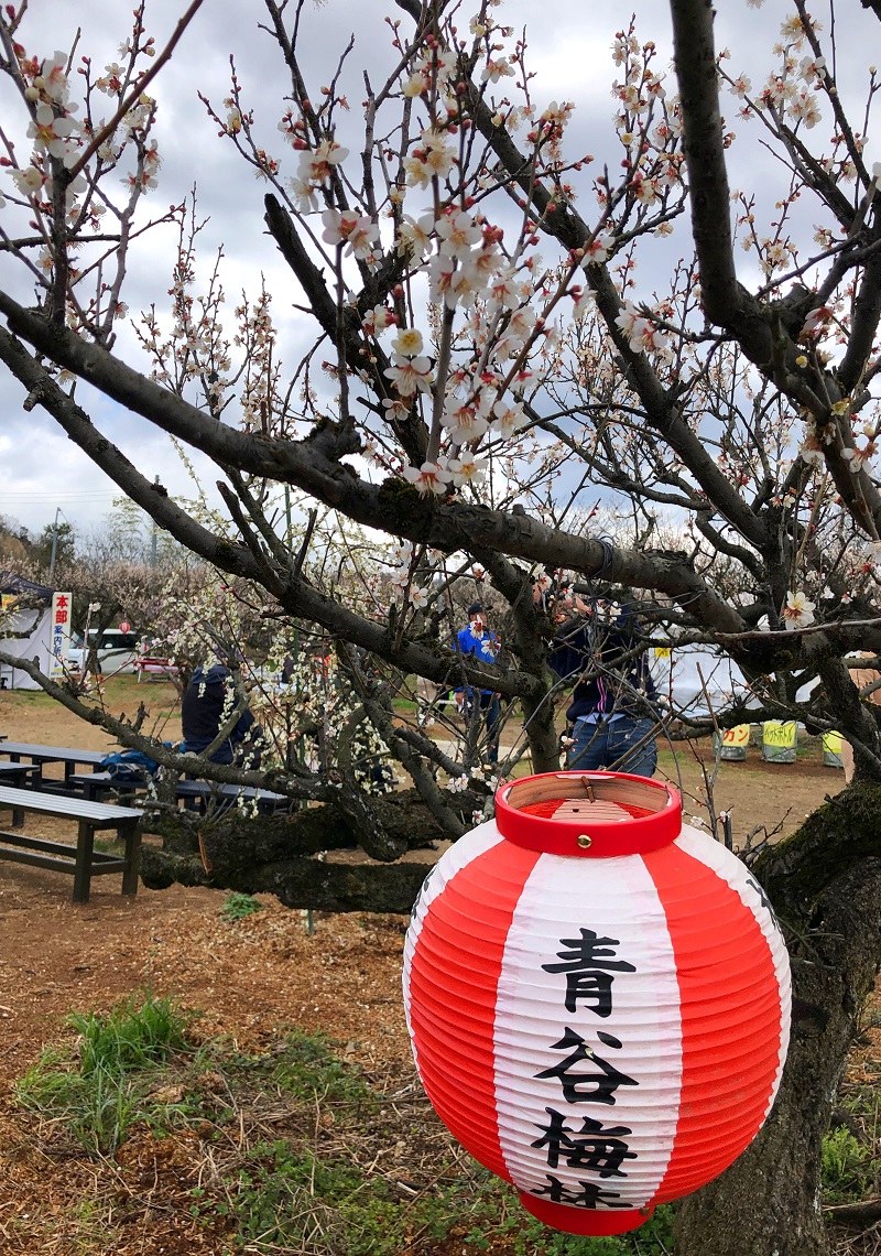 f:id:jimuin310:20190315170405j:plain