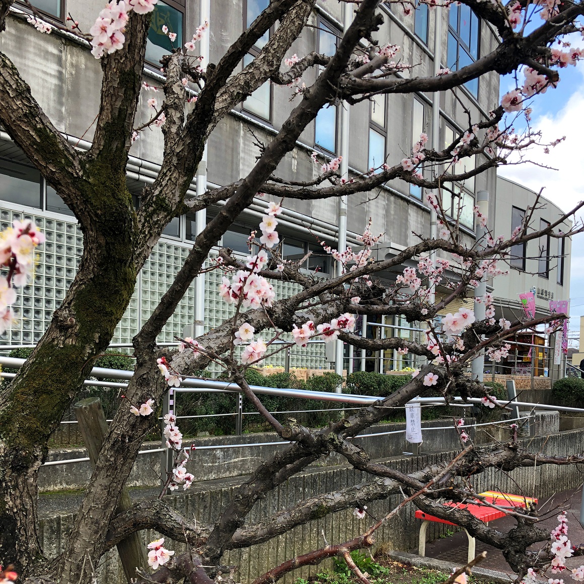 f:id:jimuin310:20190315171516j:plain