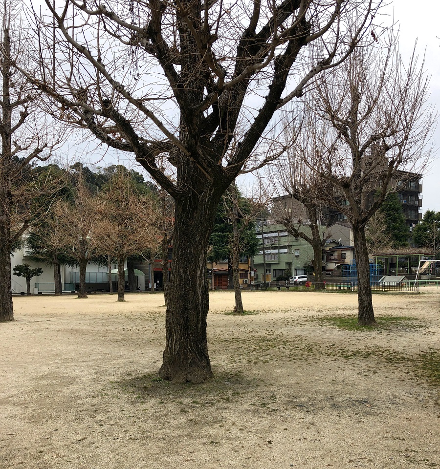 f:id:jimuin310:20190321163627j:plain