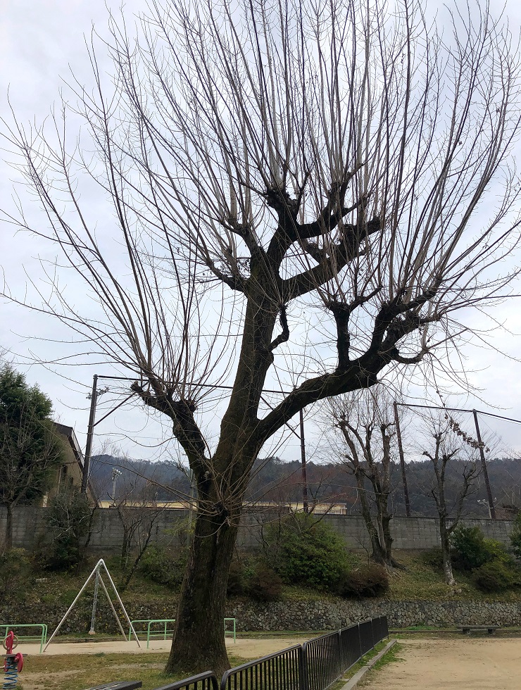 f:id:jimuin310:20190321171228j:plain