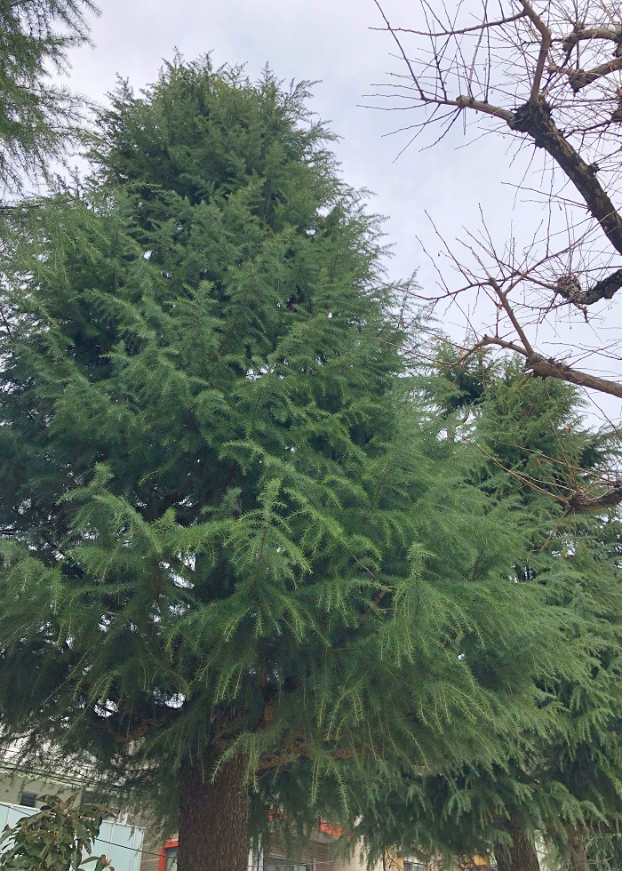 f:id:jimuin310:20190321172943j:plain