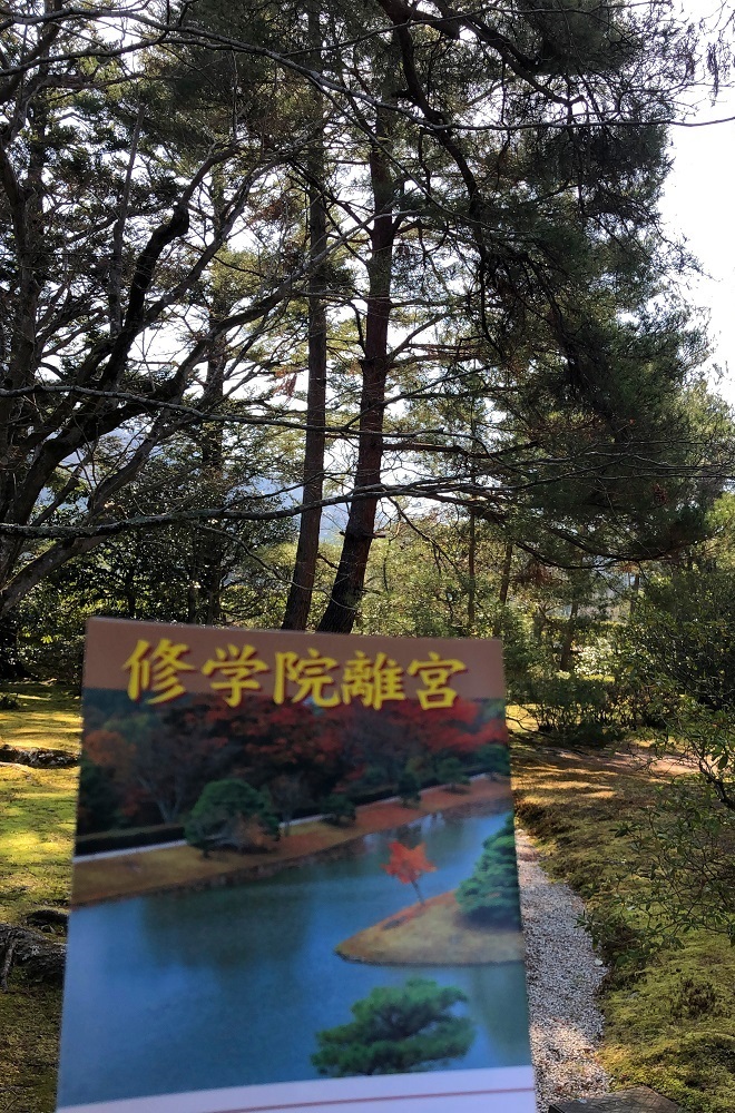 f:id:jimuin310:20190323153142j:plain