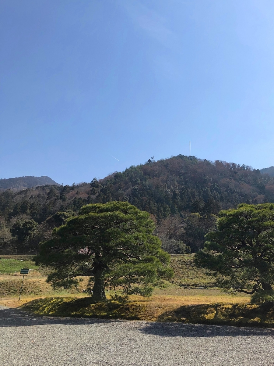 f:id:jimuin310:20190323173902j:plain f:id:jimuin310:20190323173902j:plain
