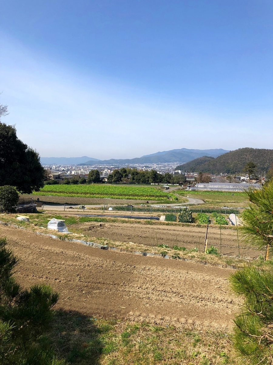 f:id:jimuin310:20190324130450j:plain