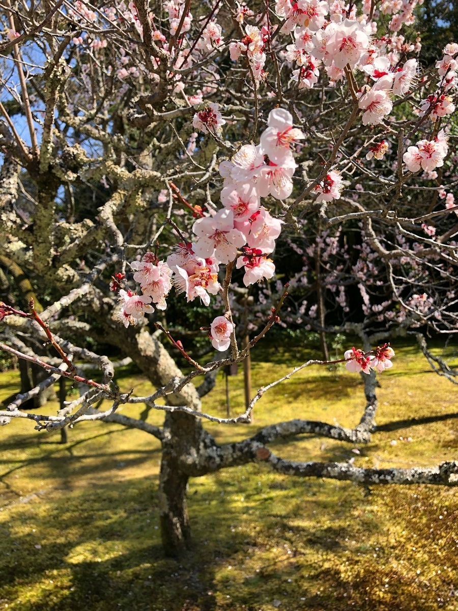 f:id:jimuin310:20190324135250j:plain