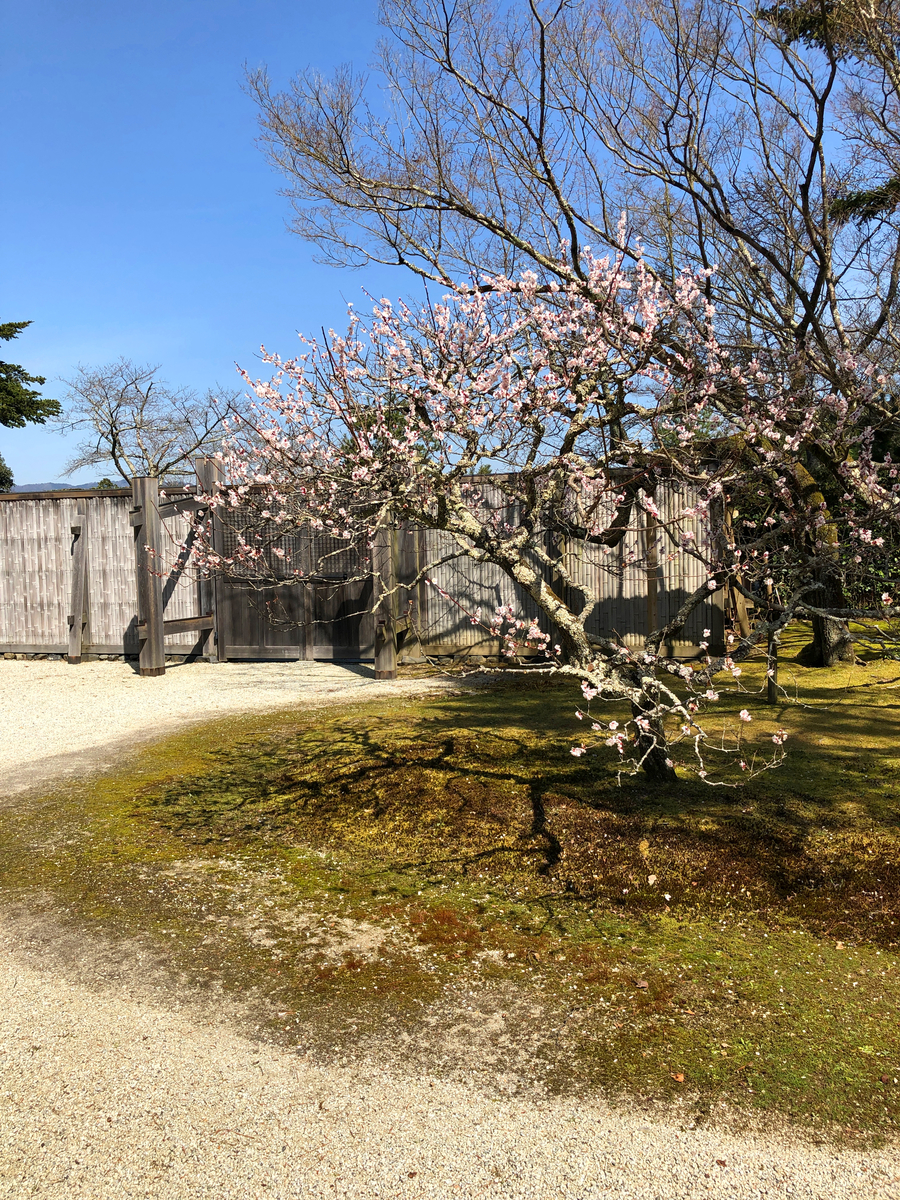 f:id:jimuin310:20190324154600j:plain