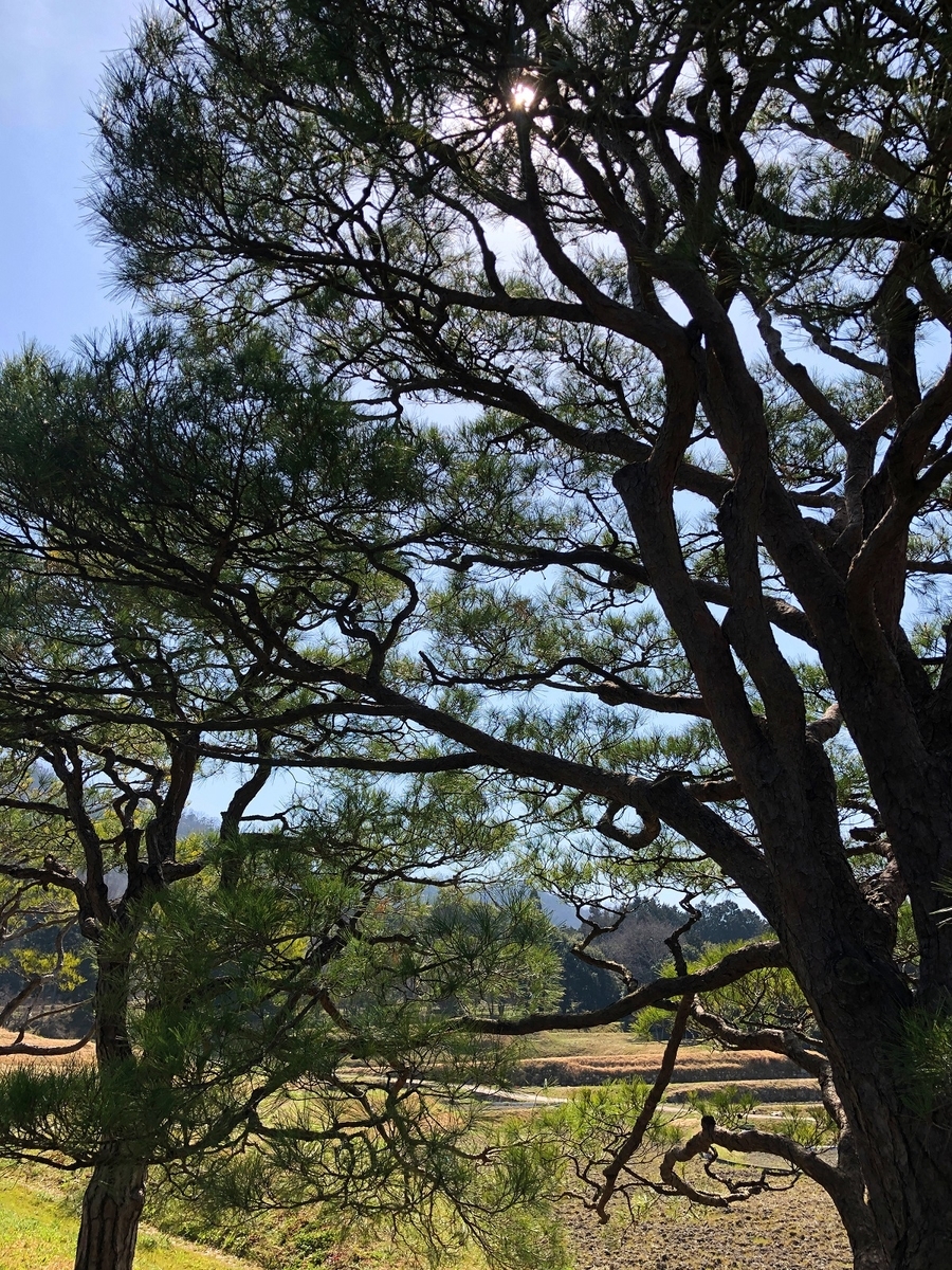 f:id:jimuin310:20190325105453j:plain