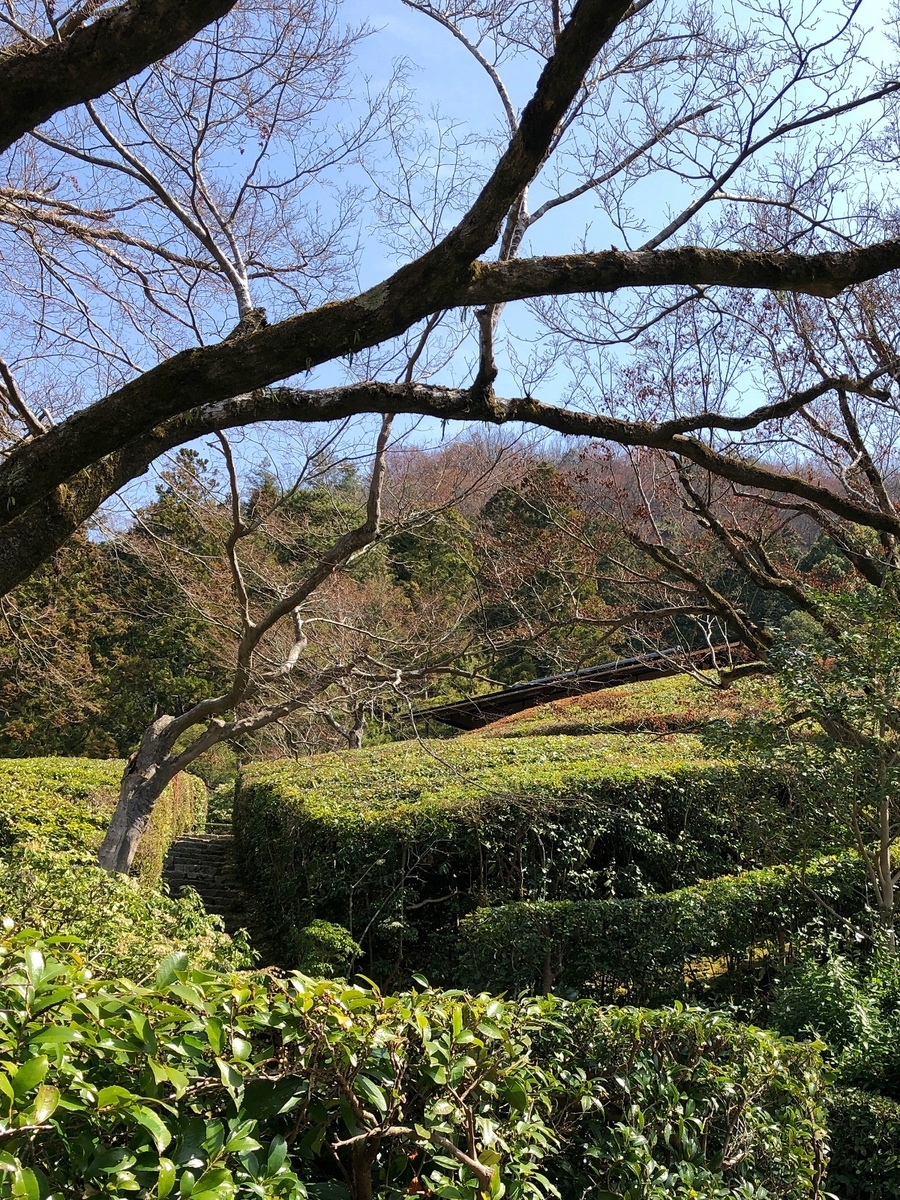 f:id:jimuin310:20190325110746j:plain