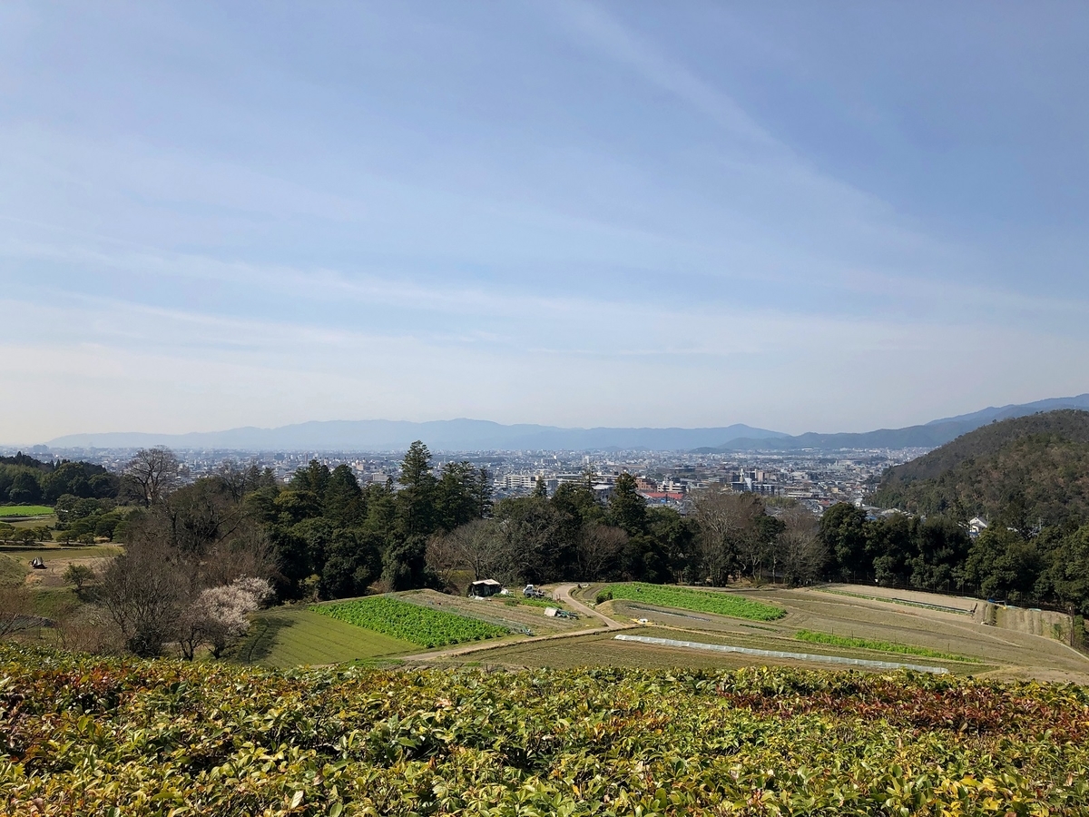 f:id:jimuin310:20190325142717j:plain