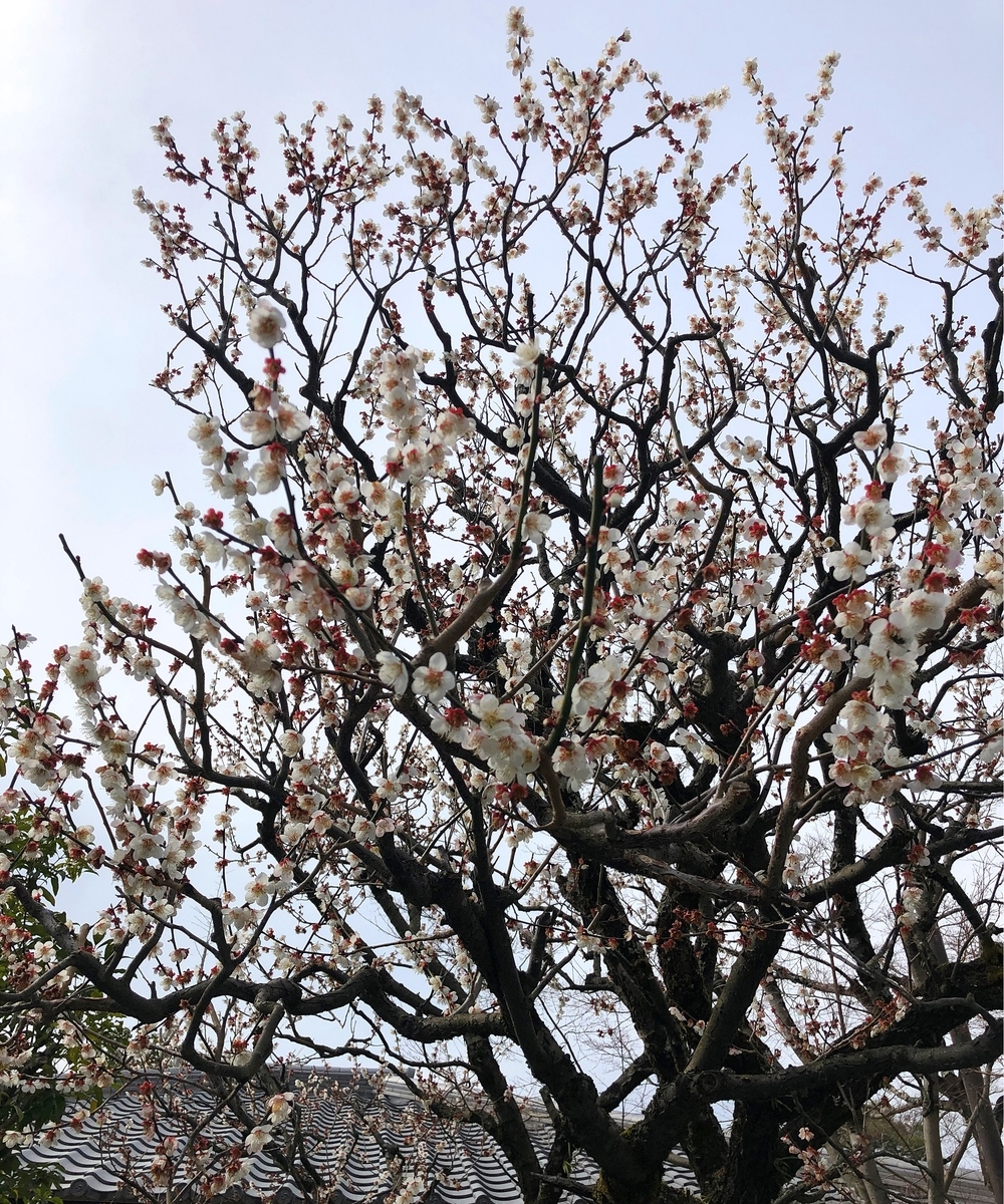 f:id:jimuin310:20190330151608j:plain f:id:jimuin310:20190330151608j:plain