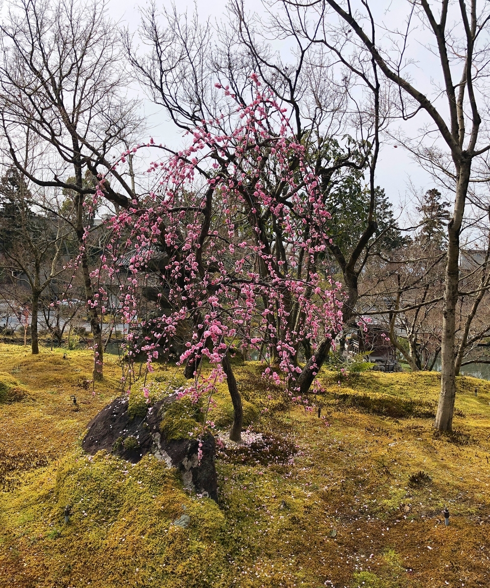 f:id:jimuin310:20190330160008j:plain f:id:jimuin310:20190330160008j:plain