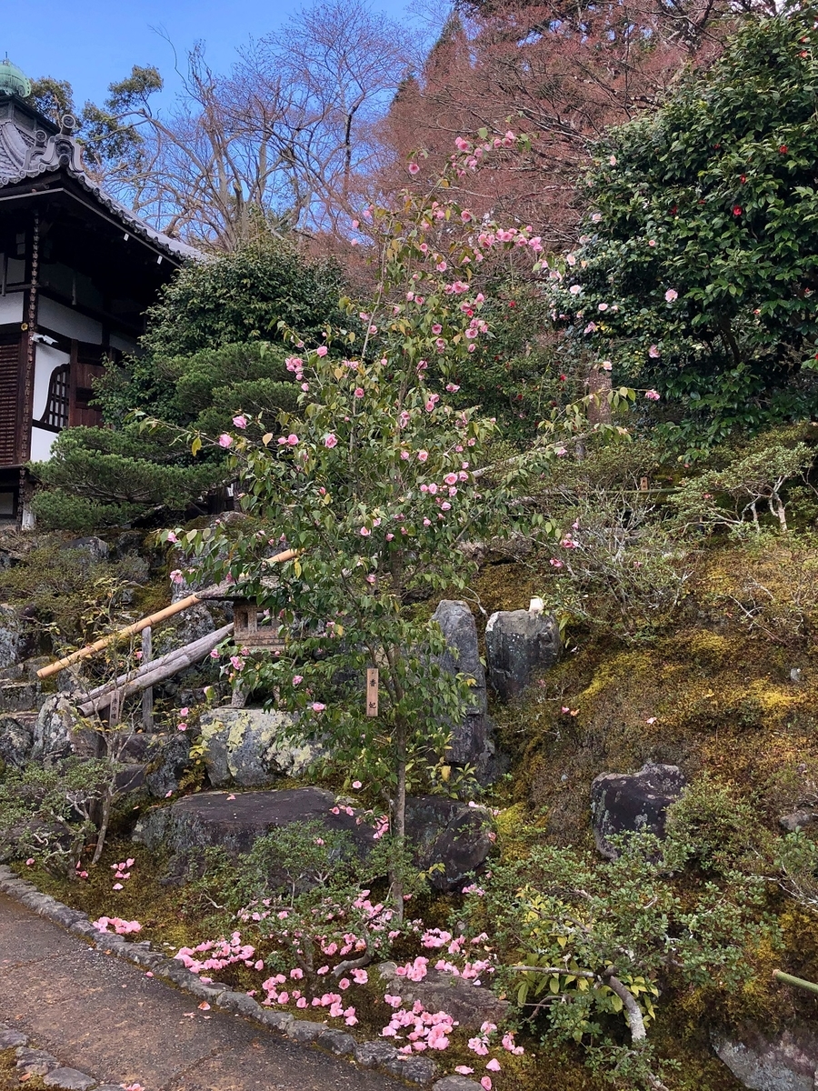f:id:jimuin310:20190404165112j:plain f:id:jimuin310:20190404165112j:plain