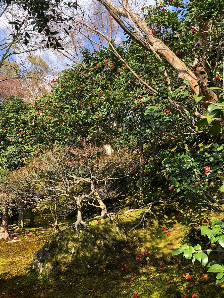 f:id:jimuin310:20190404172514j:plain f:id:jimuin310:20190404172514j:plain