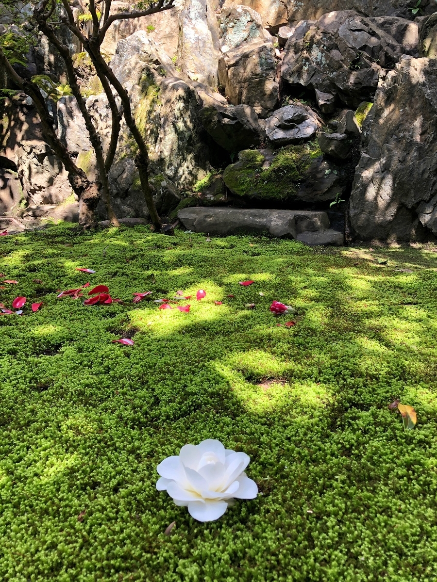 f:id:jimuin310:20190404172523j:plain f:id:jimuin310:20190404172523j:plain