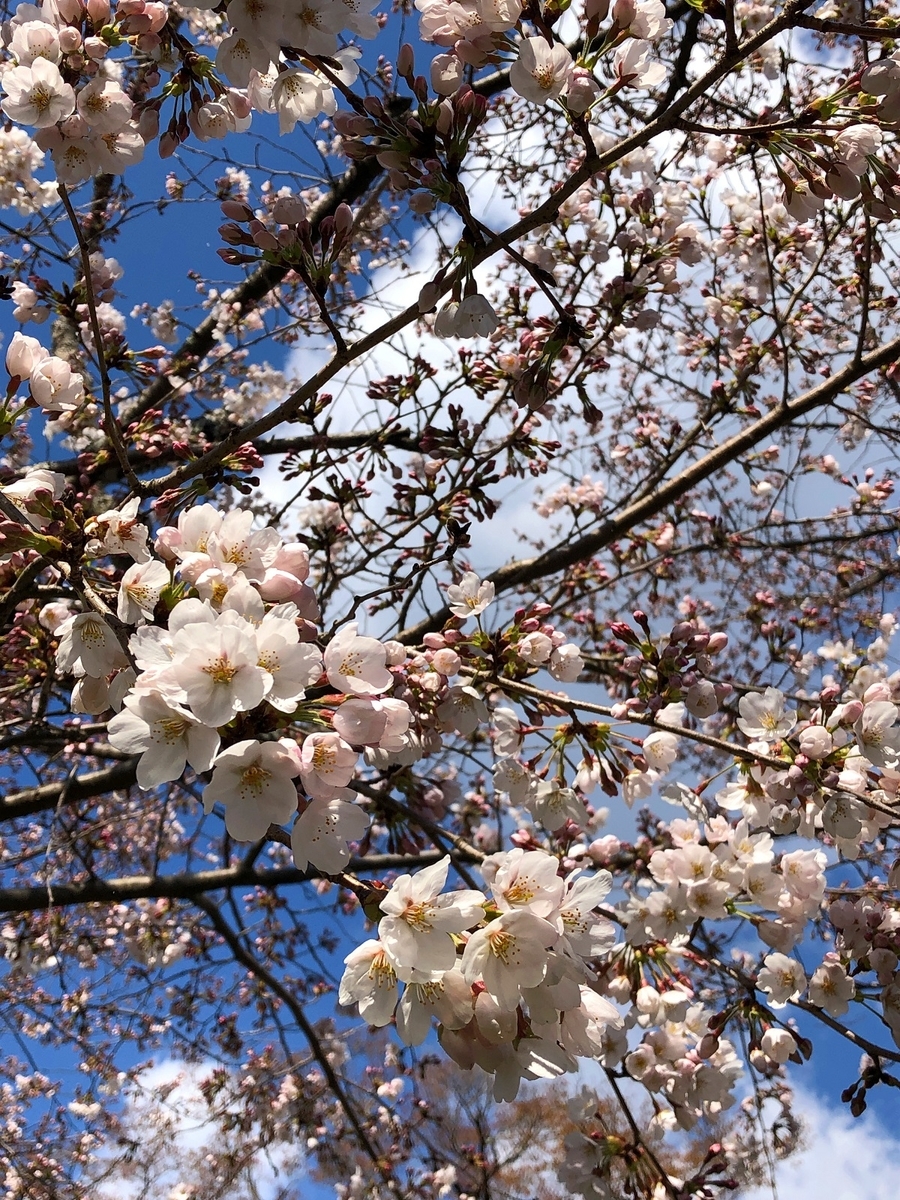 f:id:jimuin310:20190404172553j:plain f:id:jimuin310:20190404172553j:plain