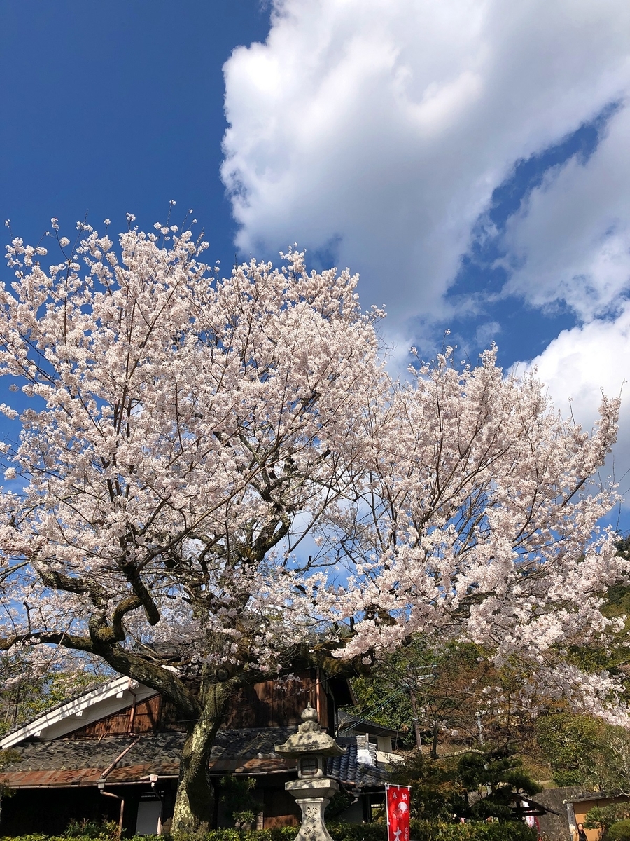 f:id:jimuin310:20190404172558j:plain f:id:jimuin310:20190404172558j:plain
