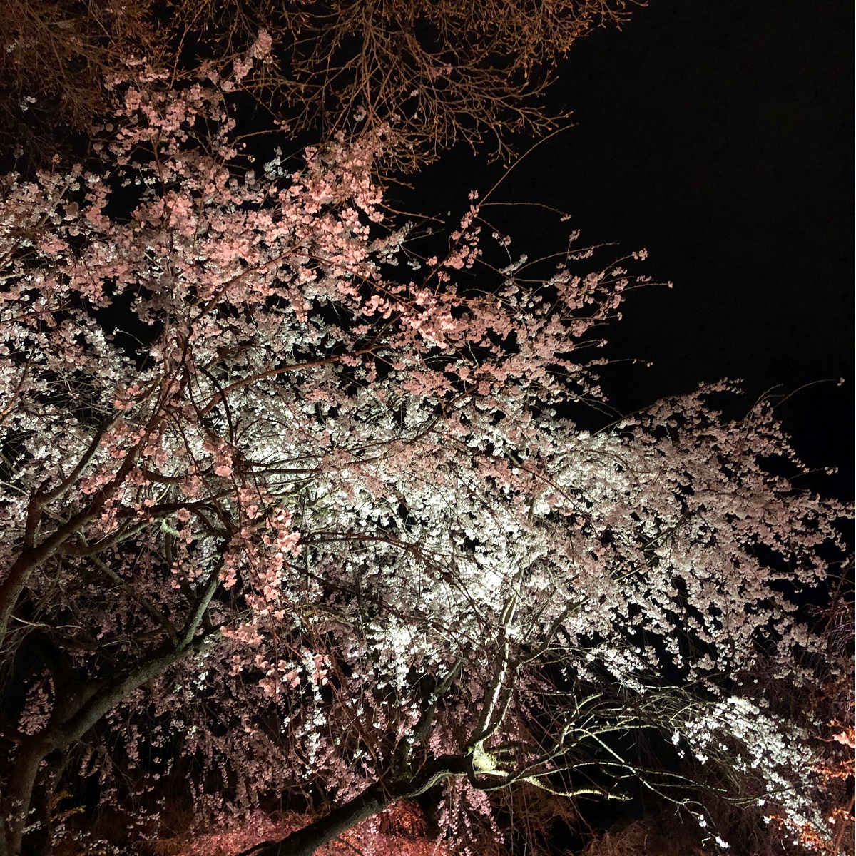 f:id:jimuin310:20190405170400j:plain f:id:jimuin310:20190405170400j:plain