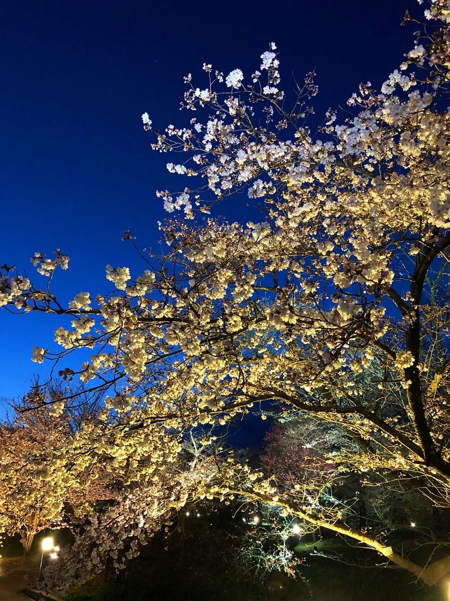 f:id:jimuin310:20190405170839j:plain f:id:jimuin310:20190405170839j:plain