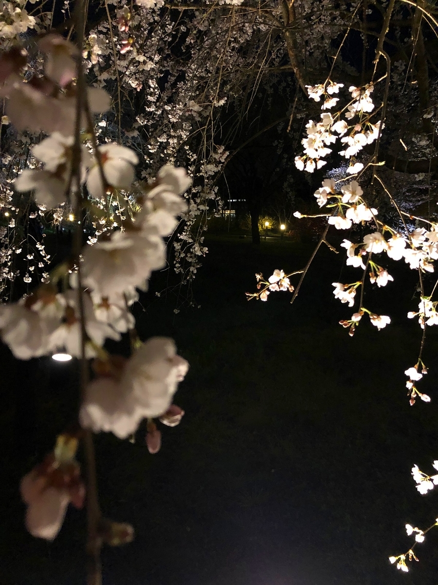 f:id:jimuin310:20190405170927j:plain f:id:jimuin310:20190405170927j:plain