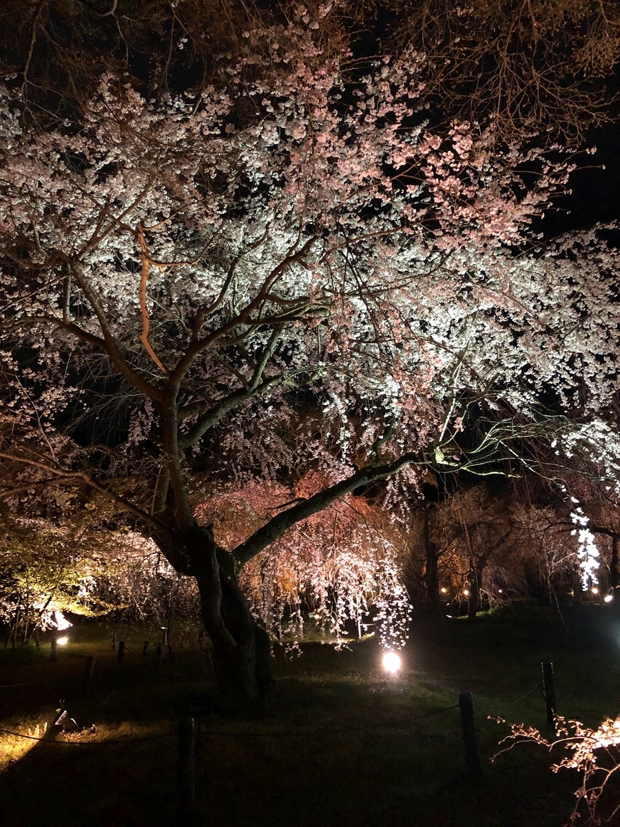 f:id:jimuin310:20190405170931j:plain f:id:jimuin310:20190405170931j:plain