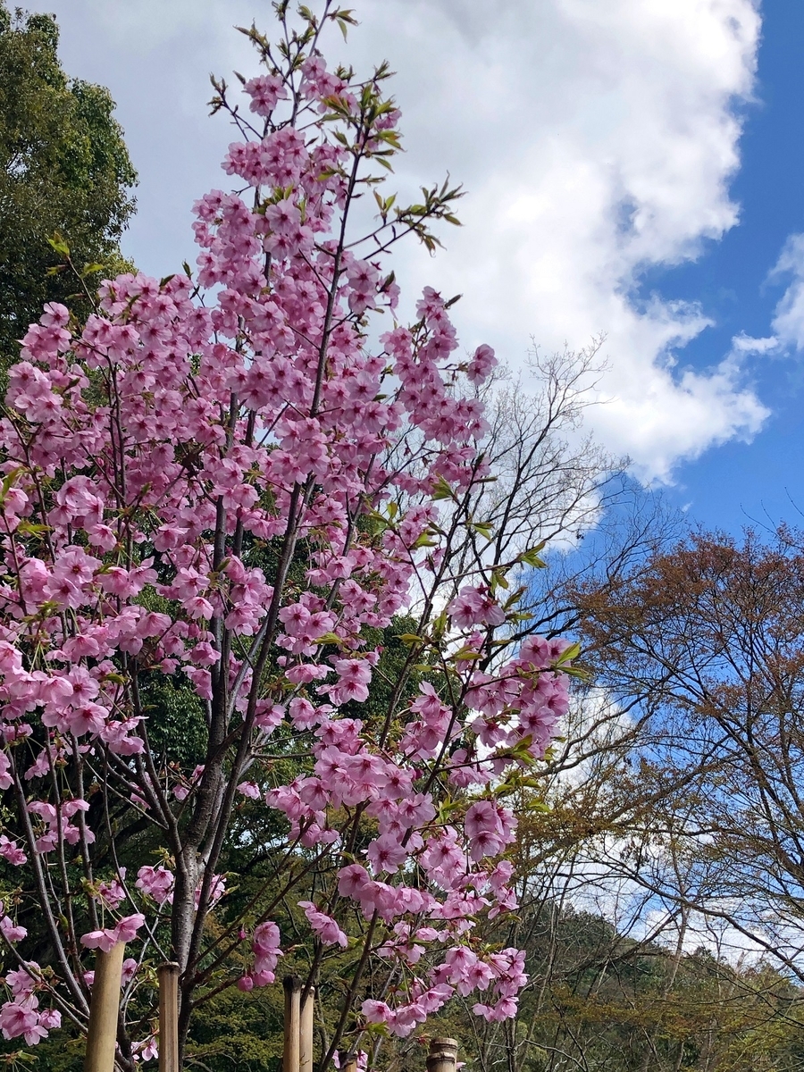 f:id:jimuin310:20190406143756j:plain f:id:jimuin310:20190406143756j:plain