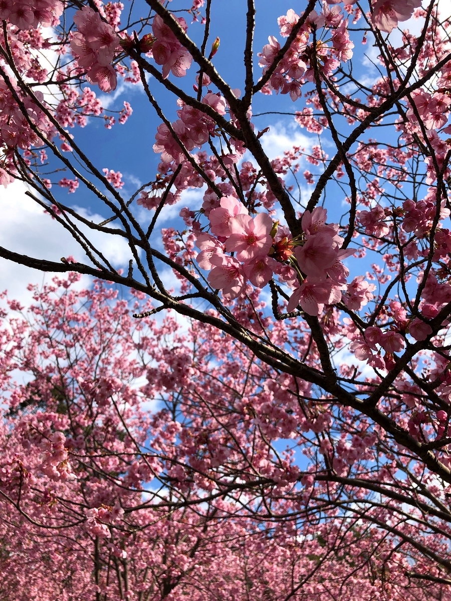f:id:jimuin310:20190406143812j:plain f:id:jimuin310:20190406143812j:plain