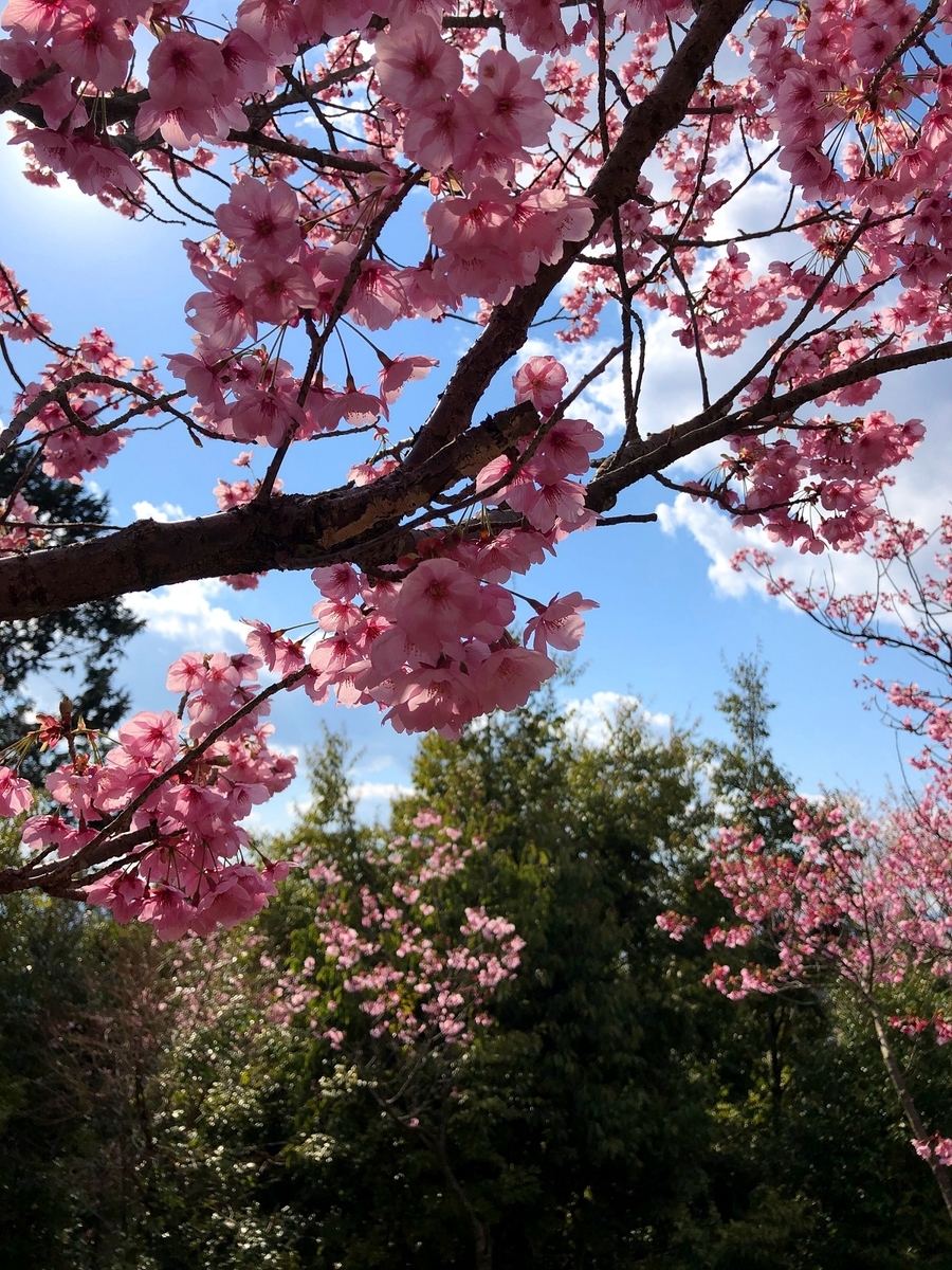 f:id:jimuin310:20190406143815j:plain f:id:jimuin310:20190406143815j:plain