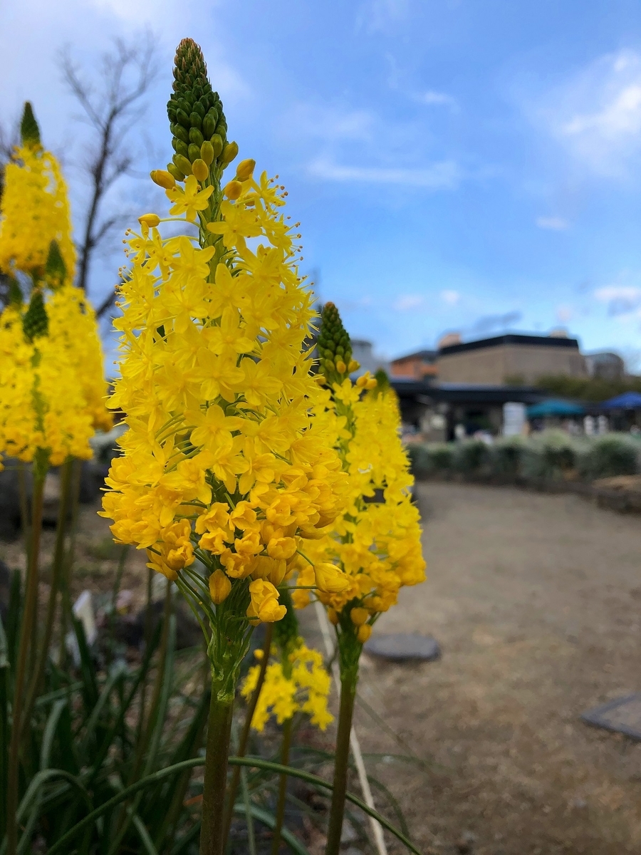 f:id:jimuin310:20190408132254j:plain f:id:jimuin310:20190408132254j:plain