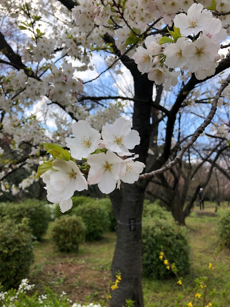 f:id:jimuin310:20190408132305j:plain f:id:jimuin310:20190408132305j:plain