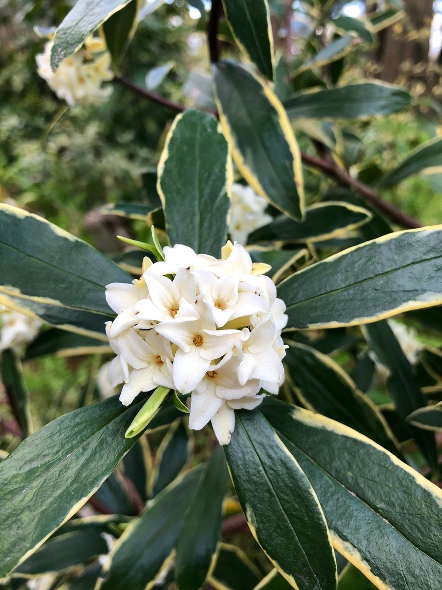 f:id:jimuin310:20190408143233j:plain f:id:jimuin310:20190408143233j:plain