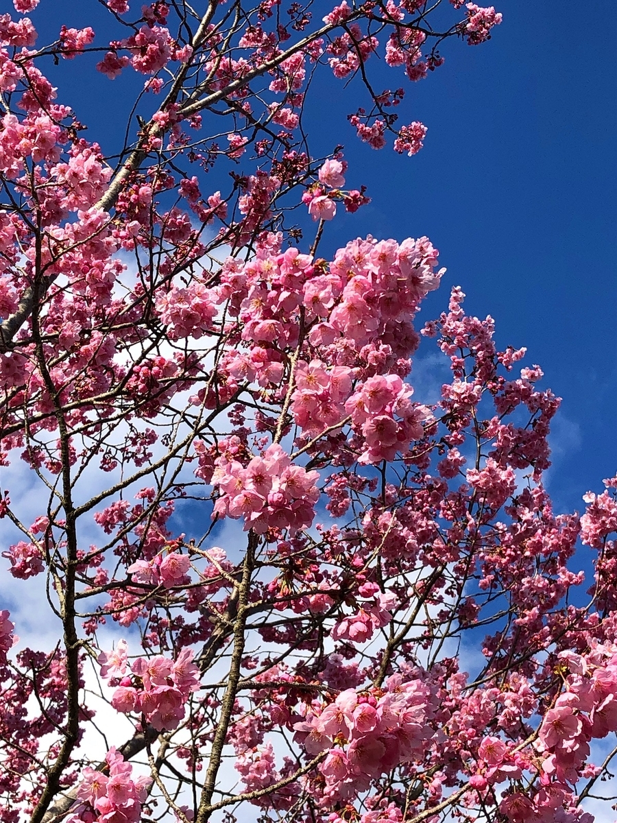 f:id:jimuin310:20190408143400j:plain f:id:jimuin310:20190408143400j:plain