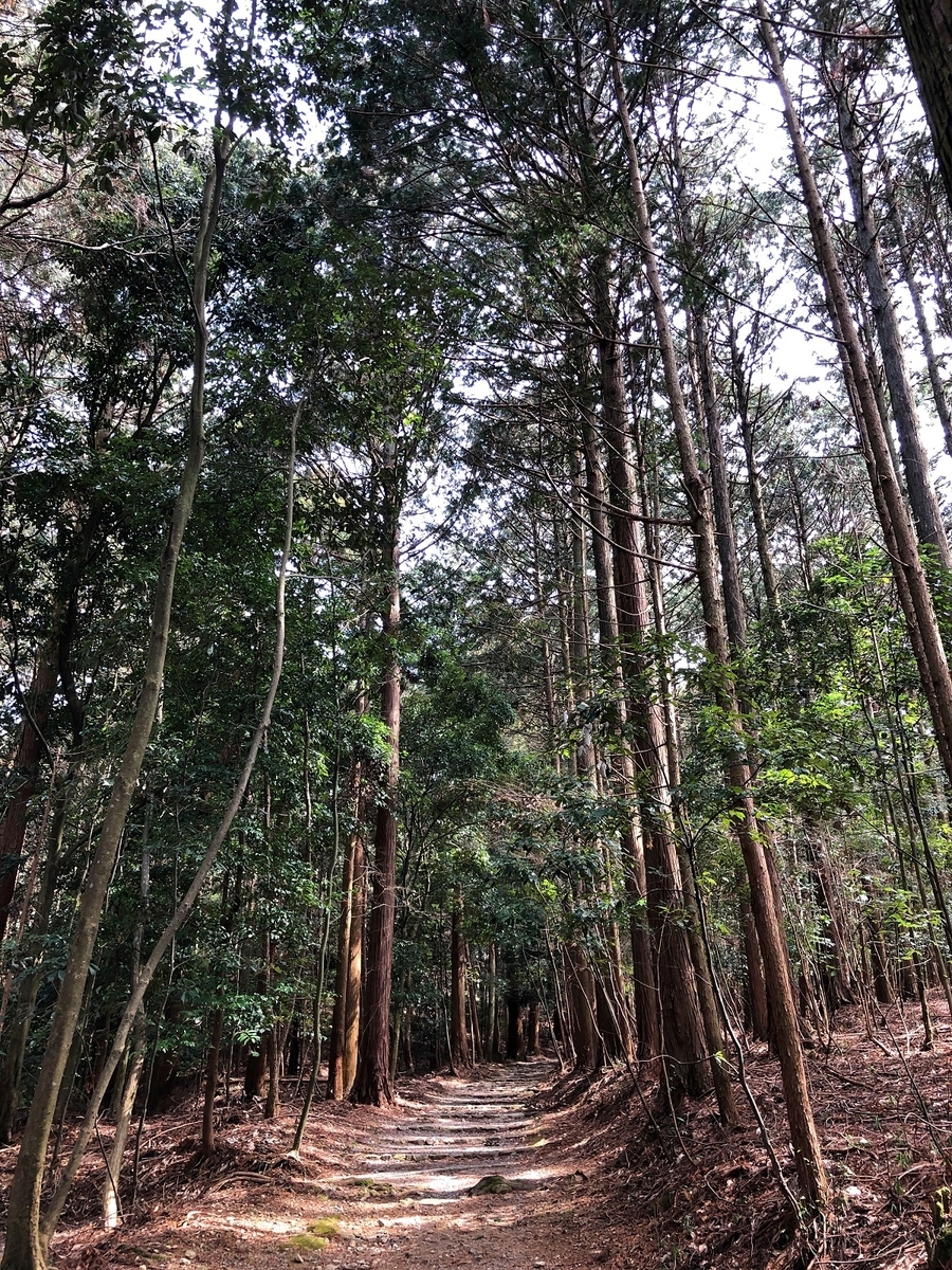 f:id:jimuin310:20190414154945j:plain f:id:jimuin310:20190414154945j:plain