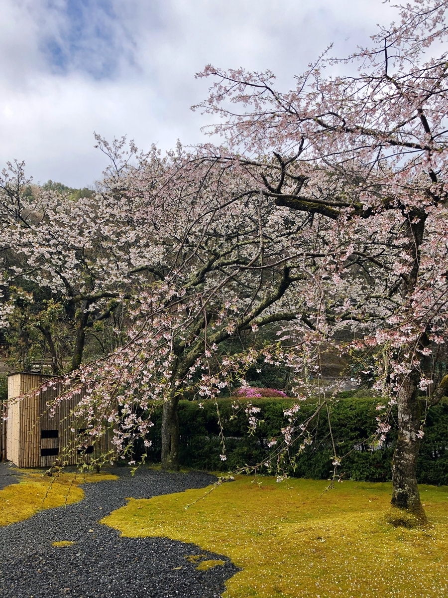 f:id:jimuin310:20190416164321j:plain f:id:jimuin310:20190416164321j:plain