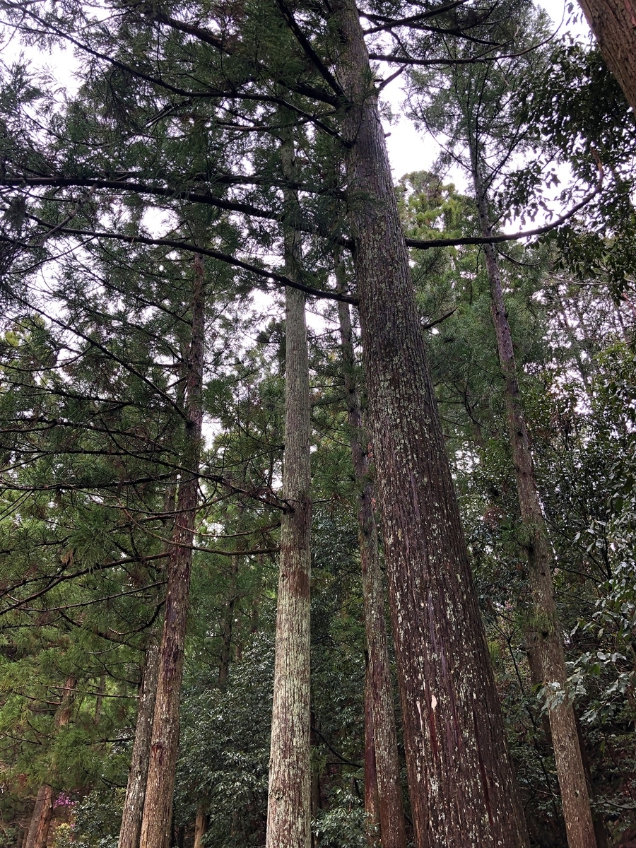 f:id:jimuin310:20190418103129j:plain f:id:jimuin310:20190418103129j:plain
