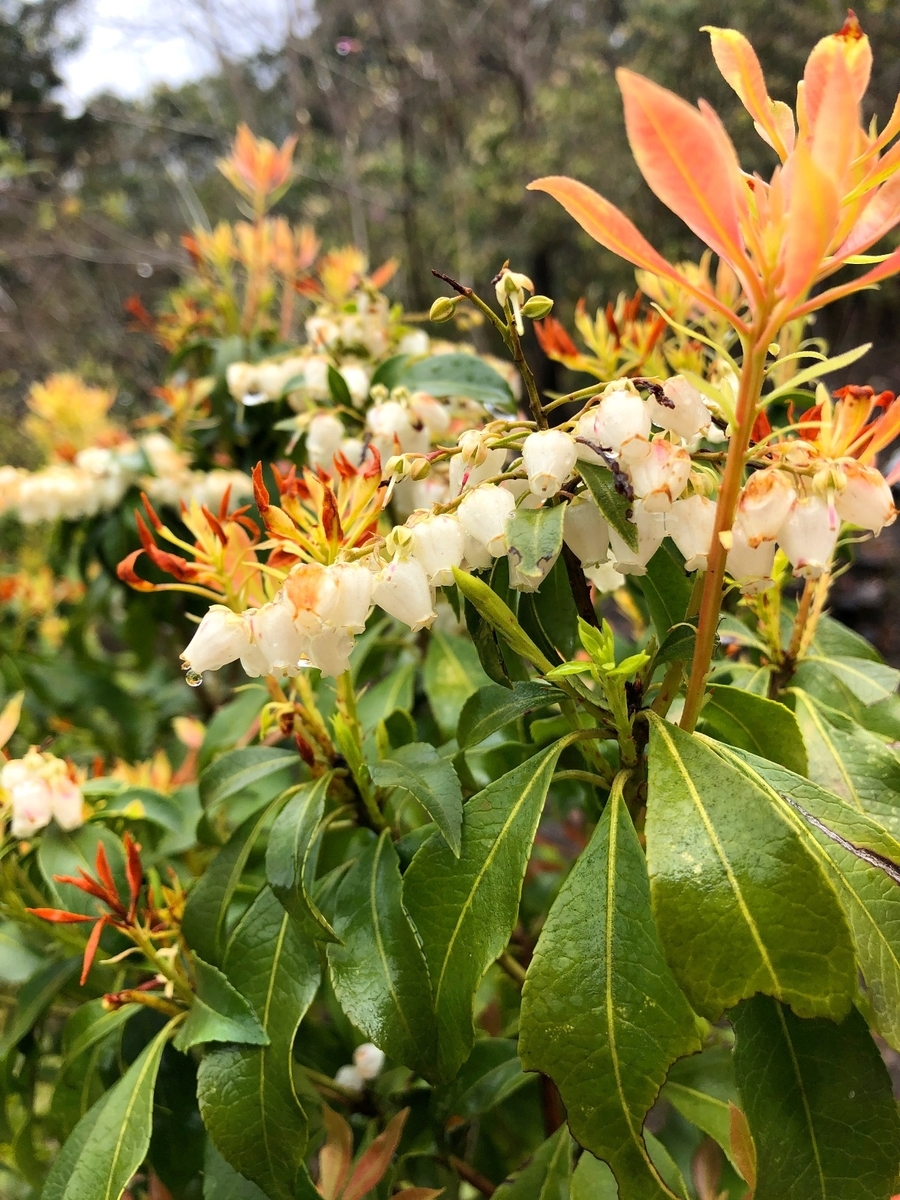 f:id:jimuin310:20190418113058j:plain f:id:jimuin310:20190418113058j:plain
