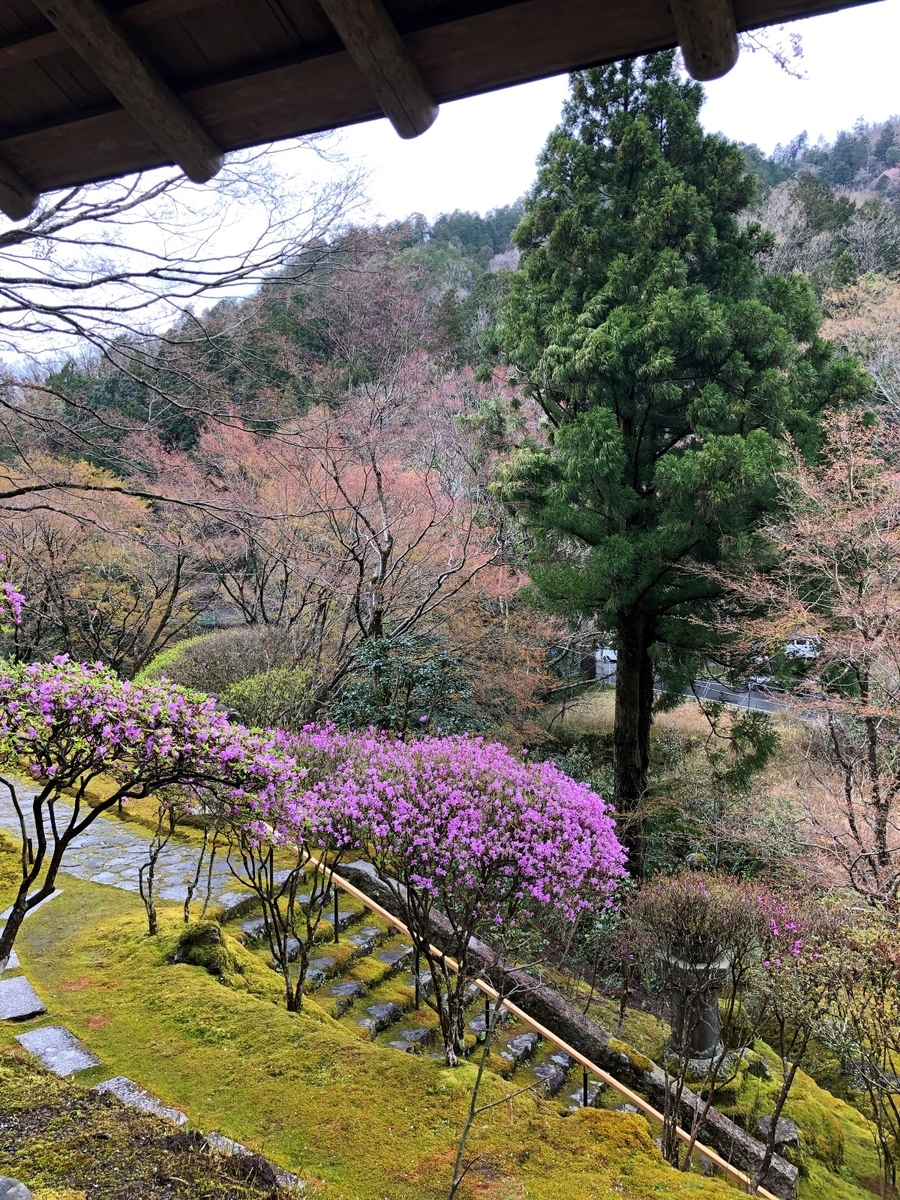 f:id:jimuin310:20190418154147j:plain f:id:jimuin310:20190418154147j:plain