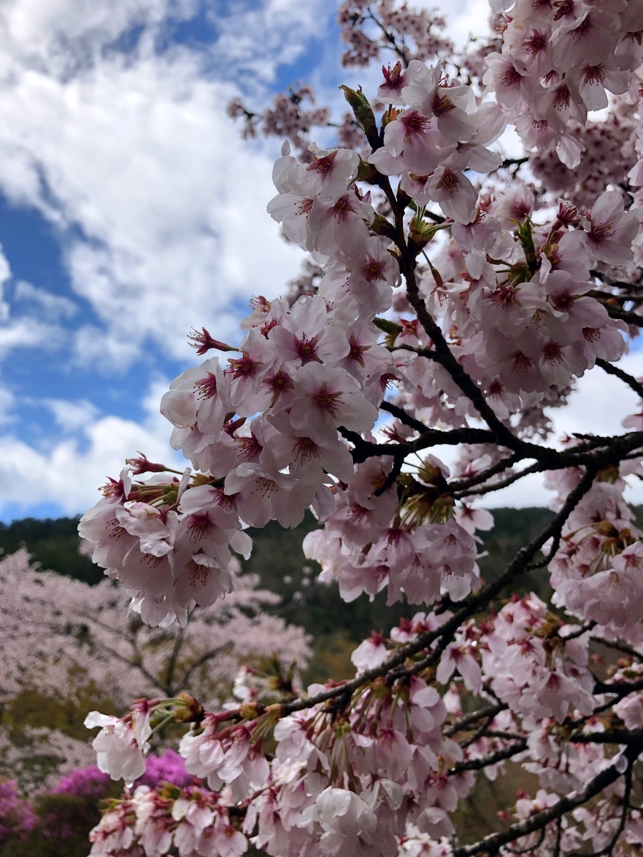 f:id:jimuin310:20190418163808j:plain f:id:jimuin310:20190418163808j:plain