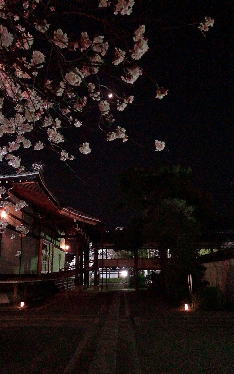 f:id:jimuin310:20190421175428j:plain f:id:jimuin310:20190421175428j:plain