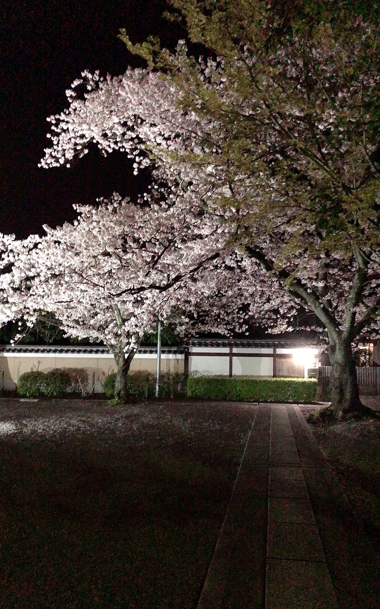 f:id:jimuin310:20190421175432j:plain f:id:jimuin310:20190421175432j:plain