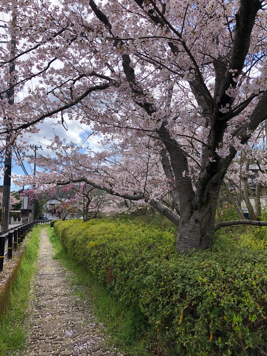 f:id:jimuin310:20190422171046j:plain f:id:jimuin310:20190422171046j:plain