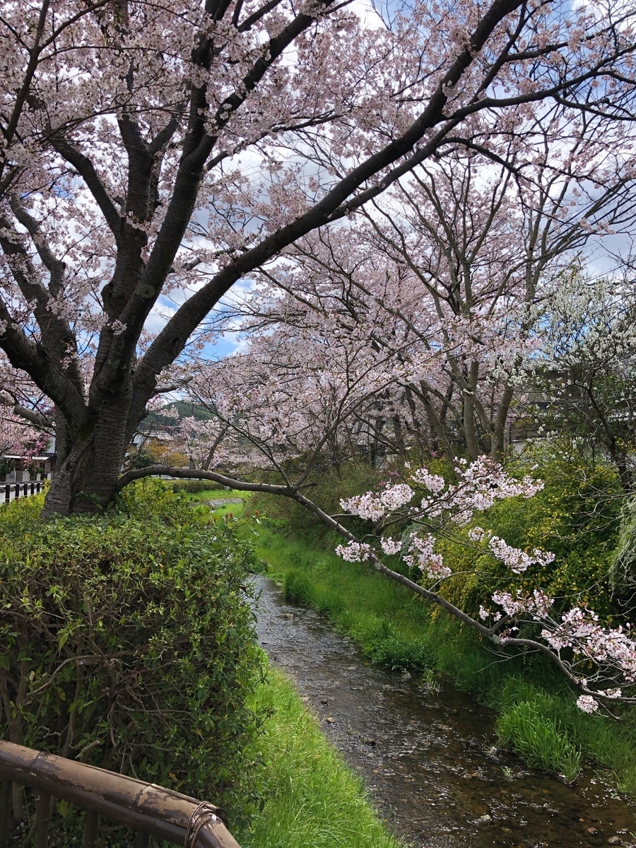 f:id:jimuin310:20190422171049j:plain f:id:jimuin310:20190422171049j:plain