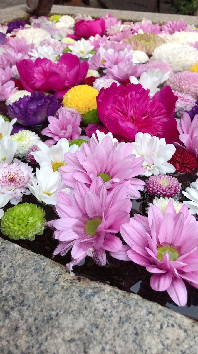 f:id:jimuin310:20190426160711j:plain f:id:jimuin310:20190426160711j:plain