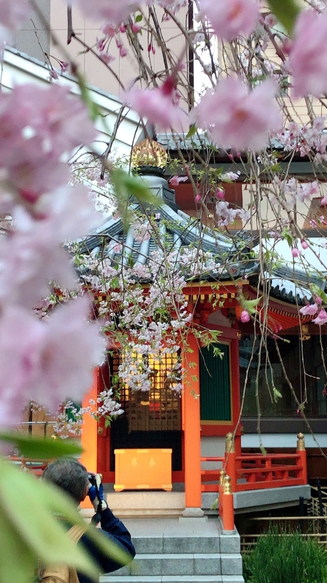 f:id:jimuin310:20190426162141j:plain f:id:jimuin310:20190426162141j:plain