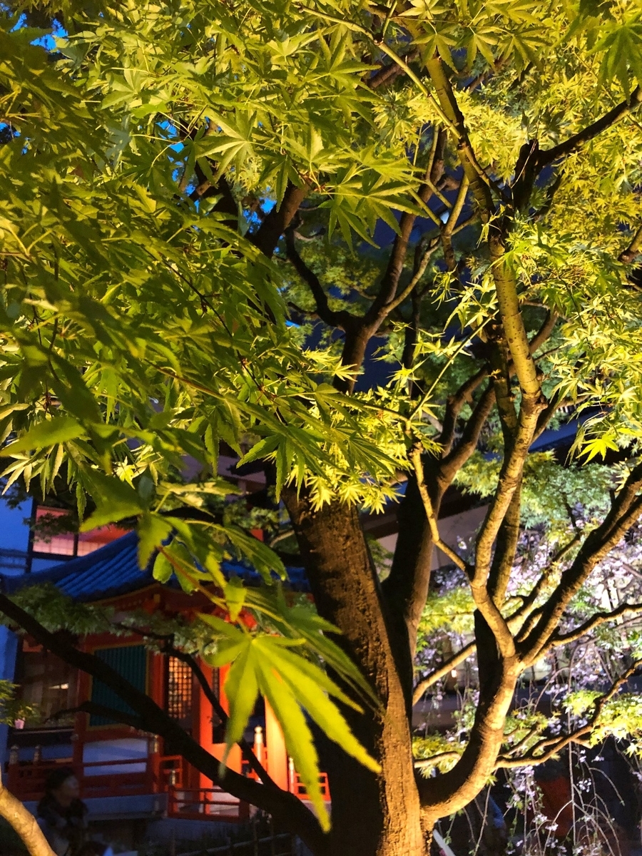 f:id:jimuin310:20190426164209j:plain f:id:jimuin310:20190426164209j:plain