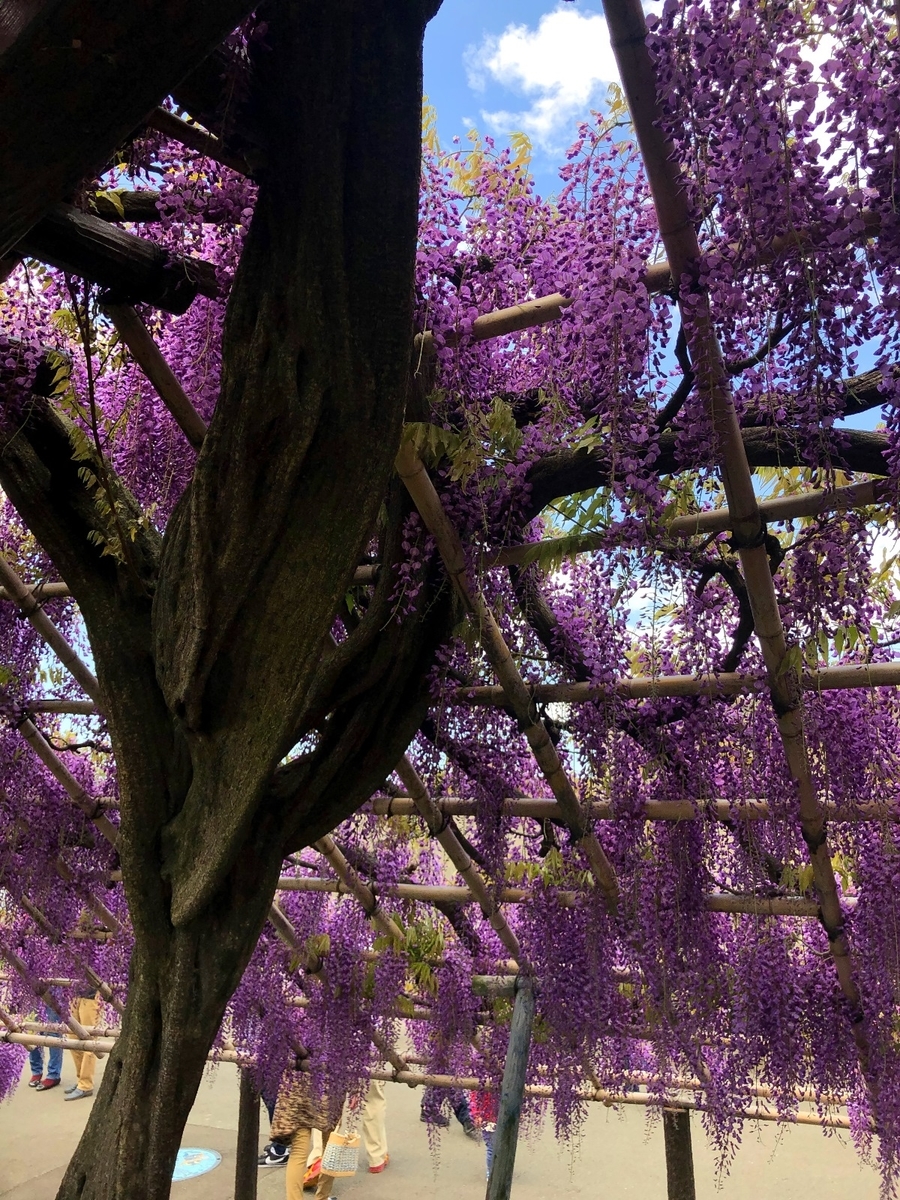 f:id:jimuin310:20190509161248j:plain f:id:jimuin310:20190509161248j:plain
